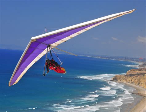 Gallery of gliders .